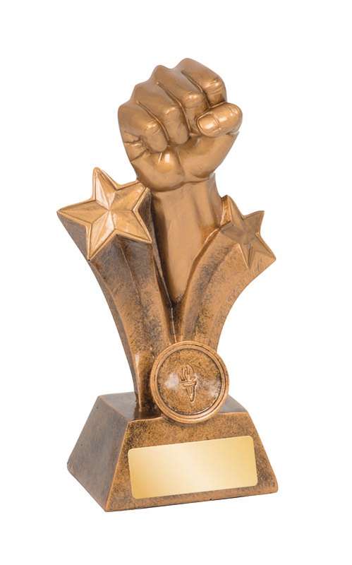 Martial Arts – Karate/Fist – 25mm Insert