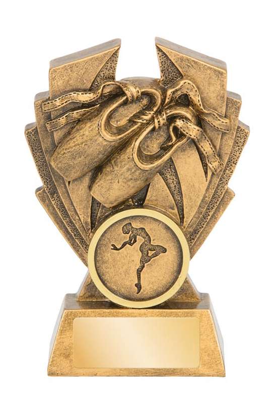 Dance – Ballet – Hawk Series -25mm Insert