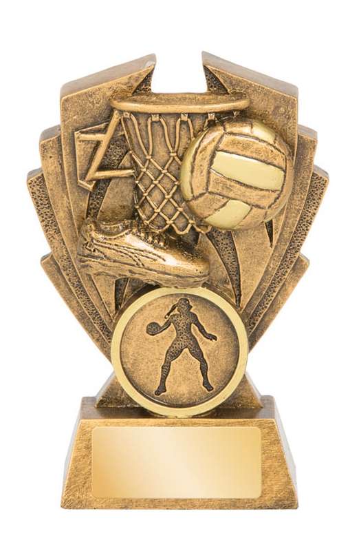 Netball Hawk Series – 25mm Insert
