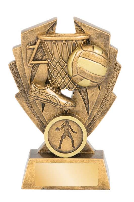 Netball Hawk Series – 25mm Insert