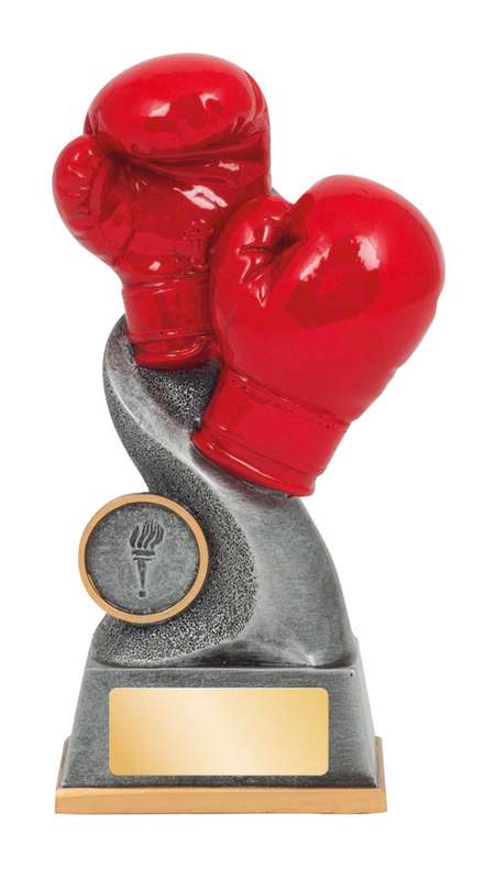 Boxing – Gloves – 25mm Insert