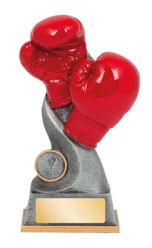 Boxing – Gloves – 25mm Insert