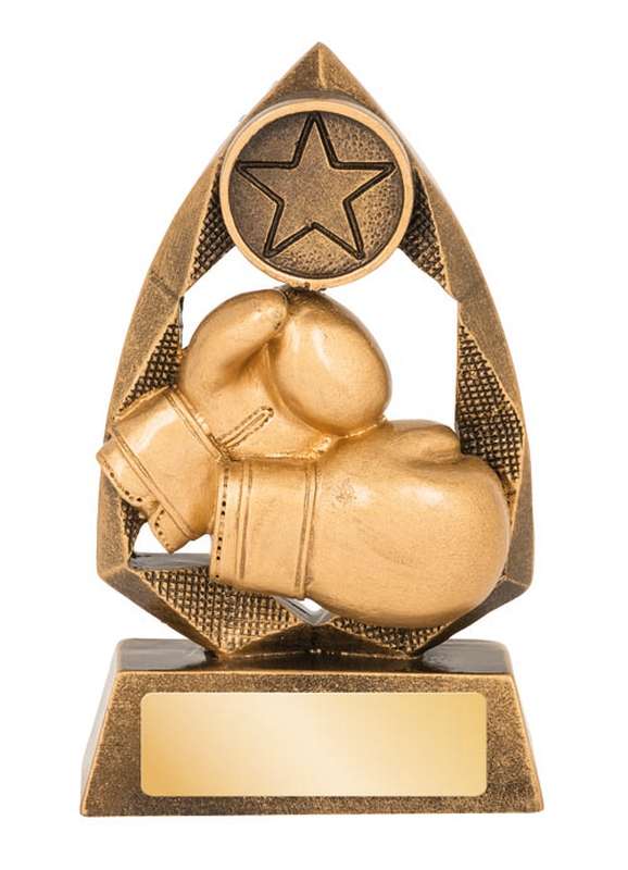 Boxing – 25mm Insert