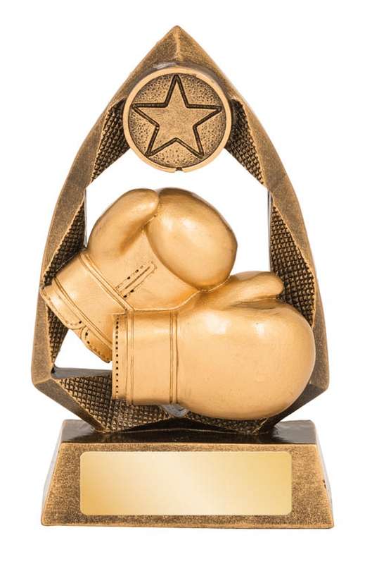 Boxing – 25mm Insert