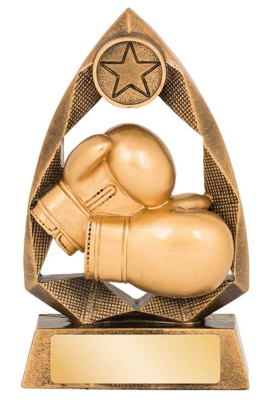 Boxing – 25mm Insert