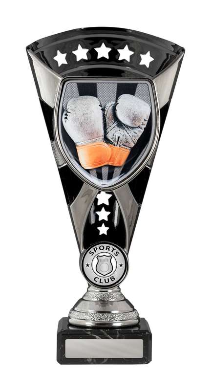 Cobra Cup-Boxing