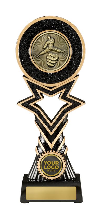Martial Arts Trophy 270mm