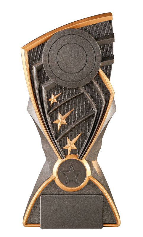 Stand All Sports Trophy 210mm