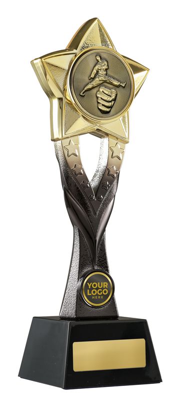 Martial Arts Trophy 263mm