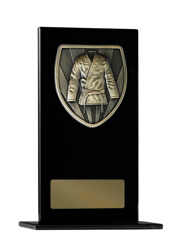 Martial Arts Glass Trophy 120mm