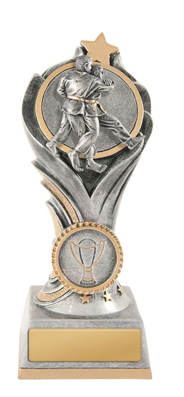 Judo Martial Arts Trophy 200mm