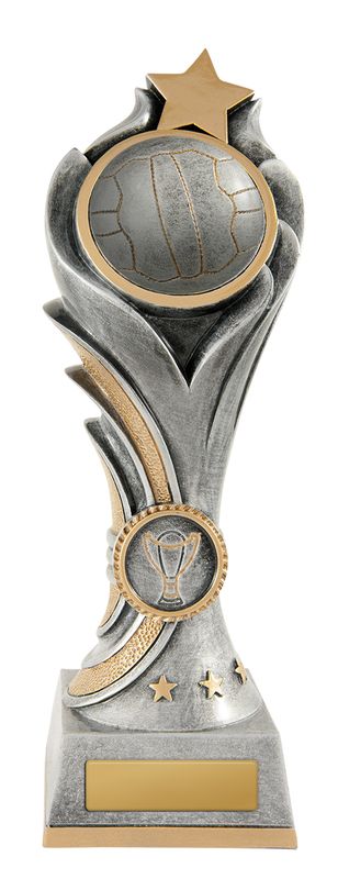 Netball Trophy 200mm