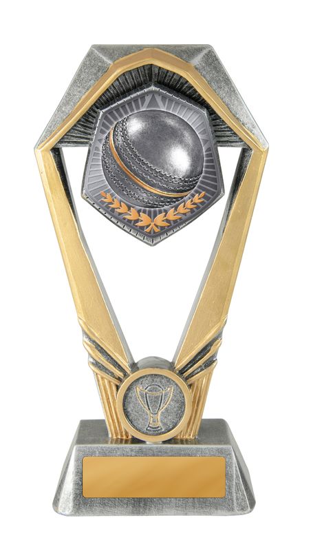 Cricket Hex Trophy 230mm