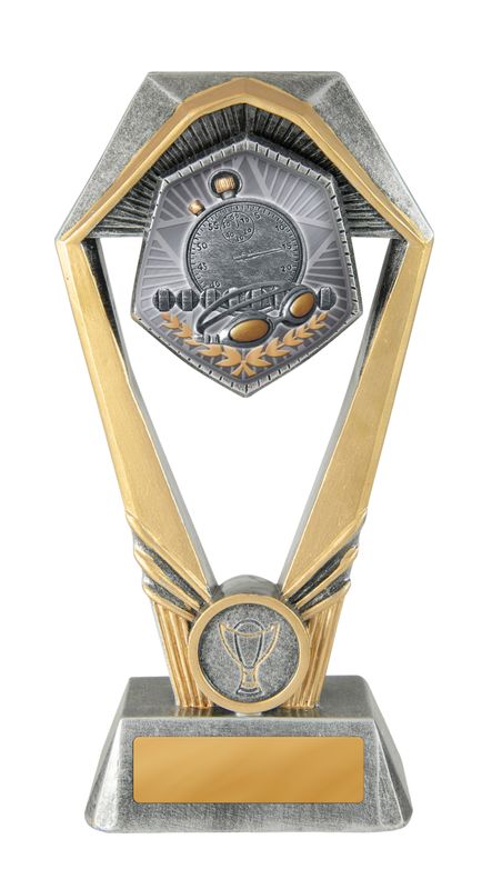 Swimming Trophy 230mm