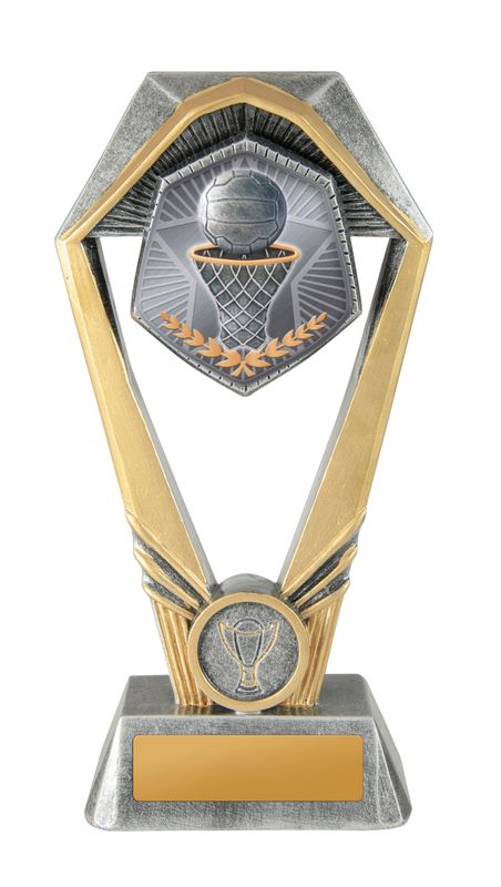 Netball Trophy 230mm