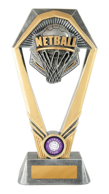 Netball Trophy 230mm