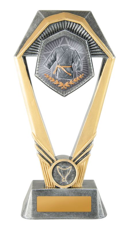 Martial Arts Trophy 230mm