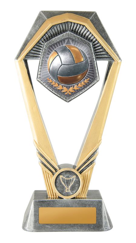 Volleyball Trophy 230mm