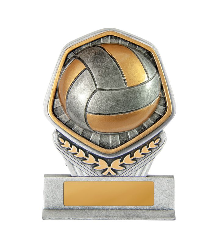 Volleyball Trophy 240mm