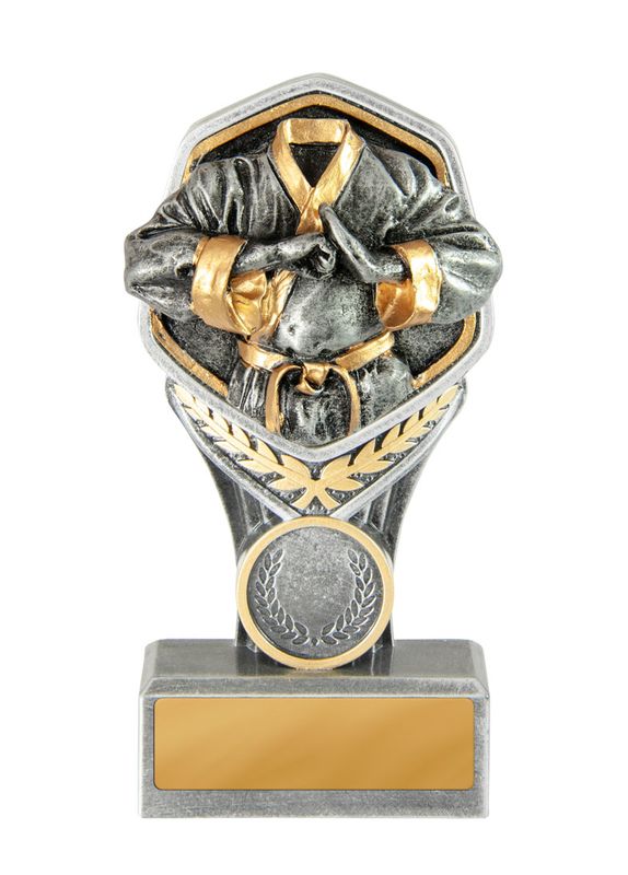 Martial Arts Trophy 240mm