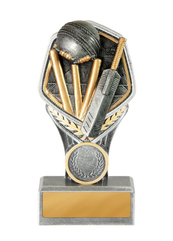 Cricket Trophy 240mm