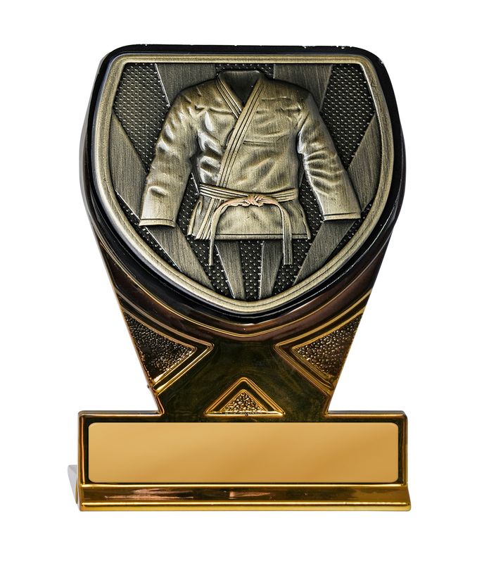 Martial Arts Trophy 225mm