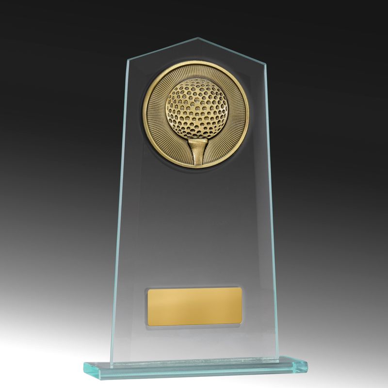 Martial Arts Glass Trophy 170mm