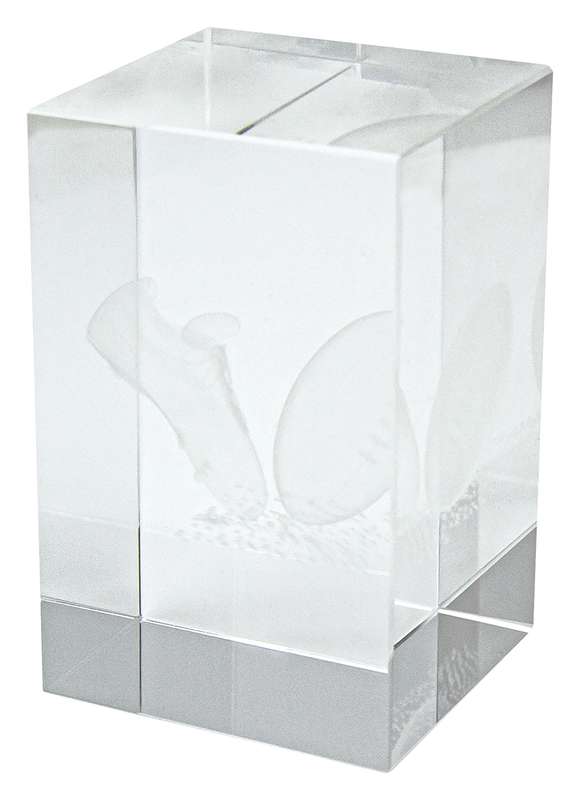 Crystal Block Award