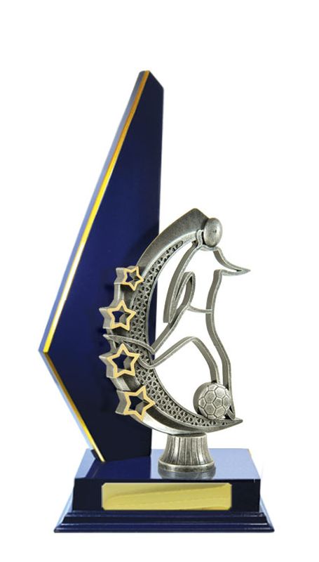 Football Trophy 305mm