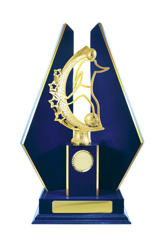 Football Male Trophy 305mm