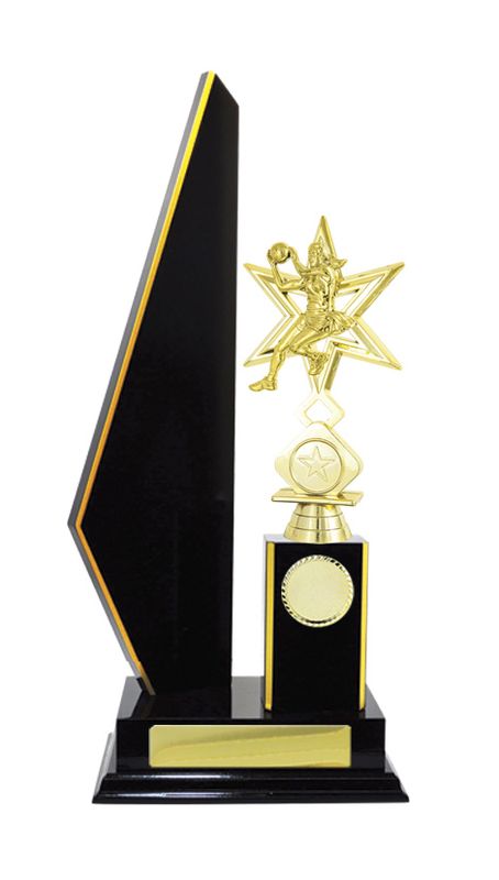 Netball Trophy 305mm