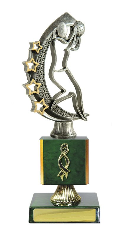 Netball Trophy 195mm