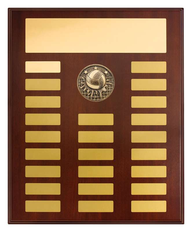 Perpetual Plaque – Water Polo