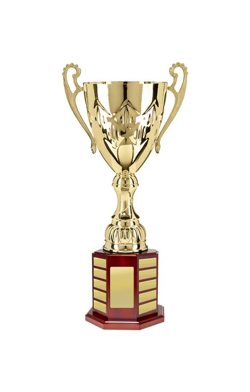 All Sports Perpetual Trophy 610mm