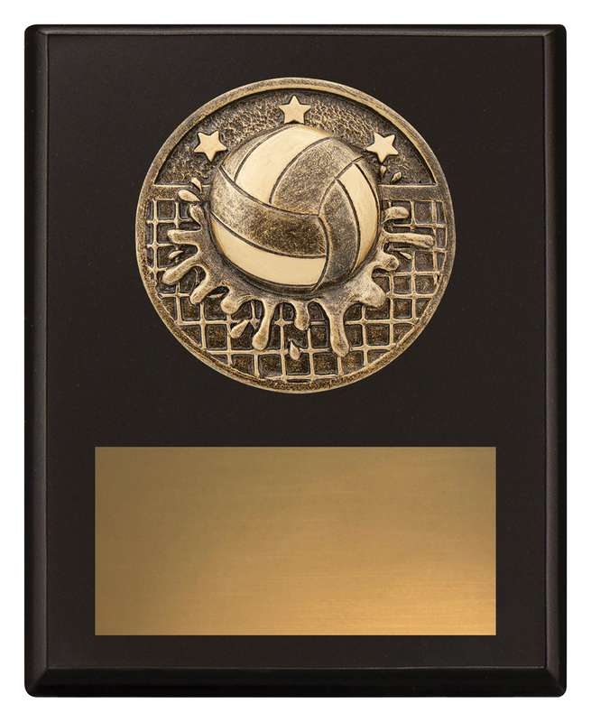 Challenge Plaque – Water Polo