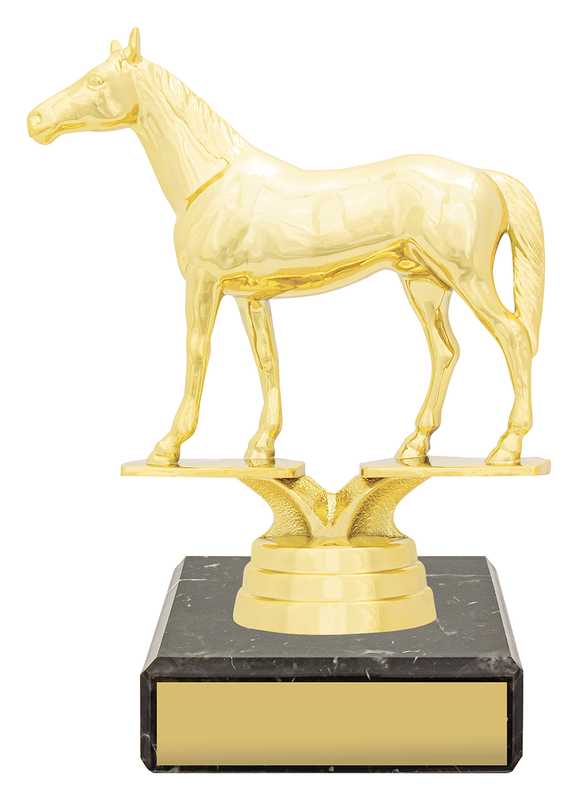 Figure Trophy – Thoroughbred